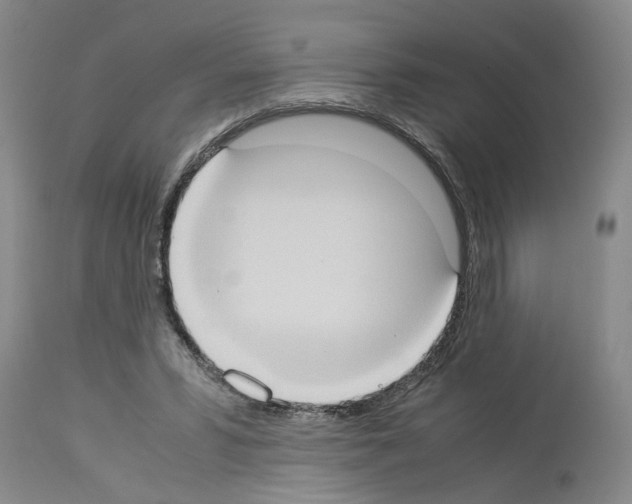 X0000113950399200911061308