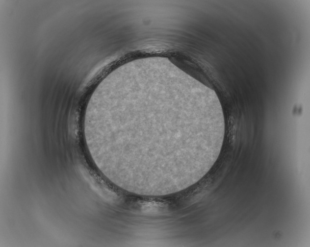 X0000113950400200911061308