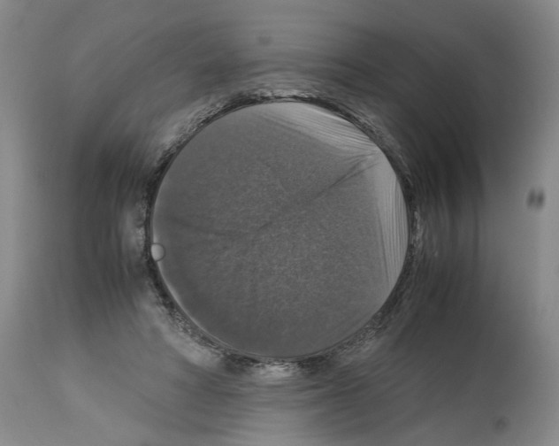 X0000113950402200911061308
