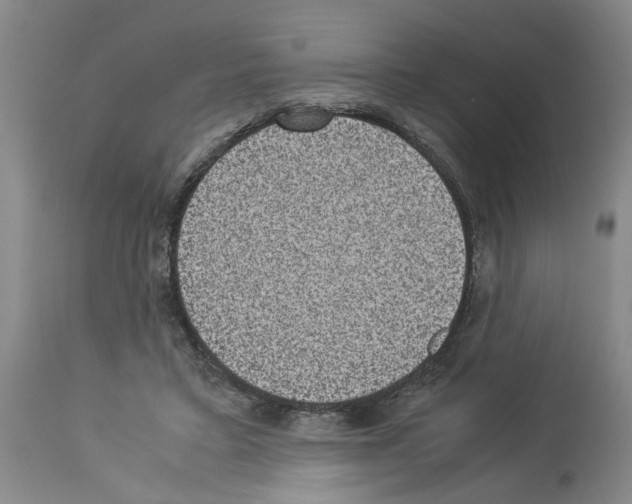 X0000113950403200911061308
