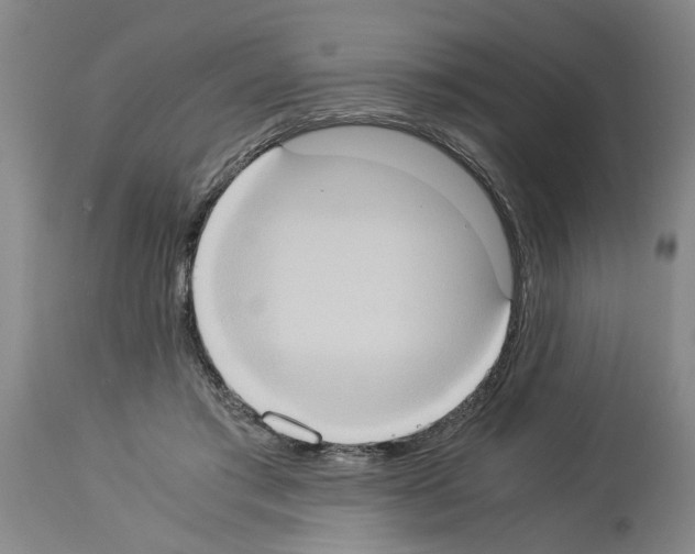 X0000113950405200911061308