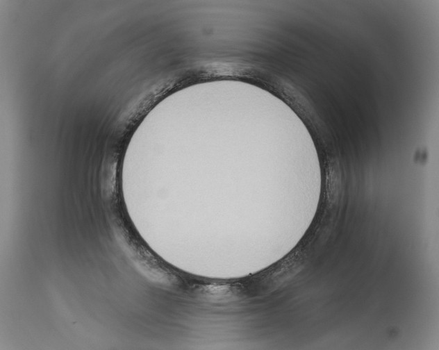 X0000113950406200911061308
