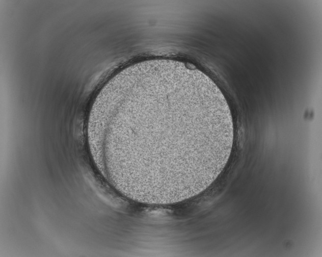 X0000113950407200911061308