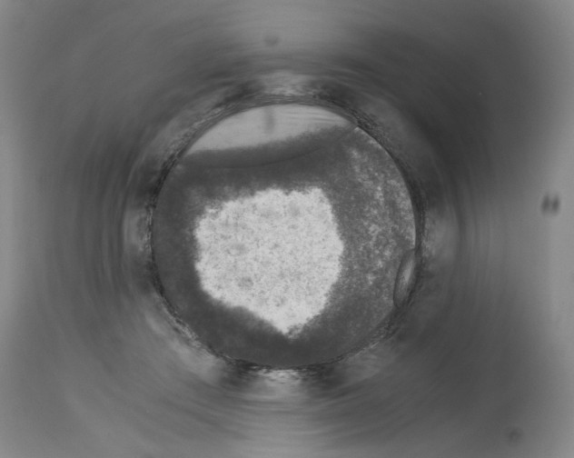 X0000113950409200911061308