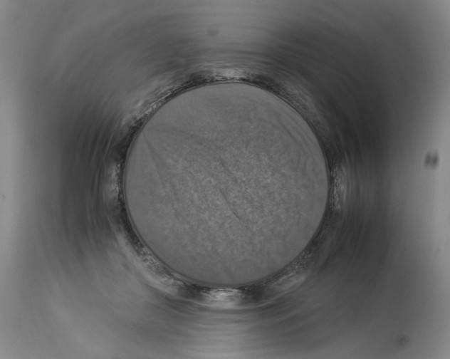 X0000113950410200911061308