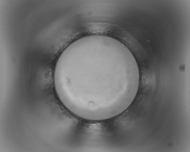 X0000113950411200911061308