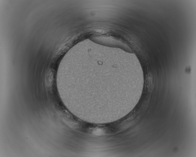 X0000113950412200911061308