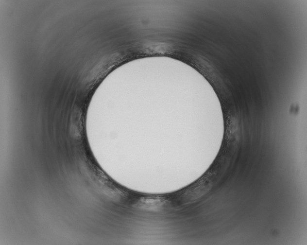 X0000113950414200911061308