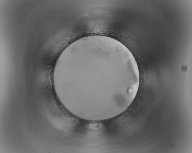 X0000113950415200911061308