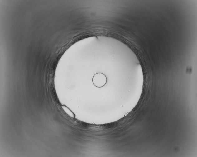 X0000113950417200911061308