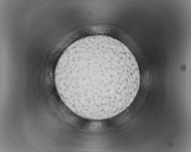 X0000113950418200911061308