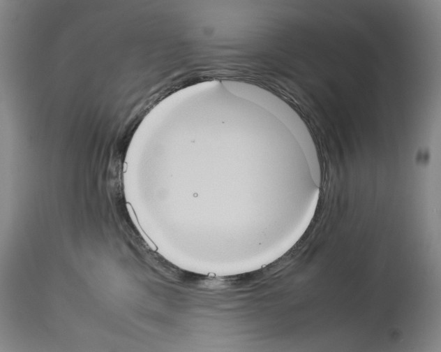 X0000113950425200911061308