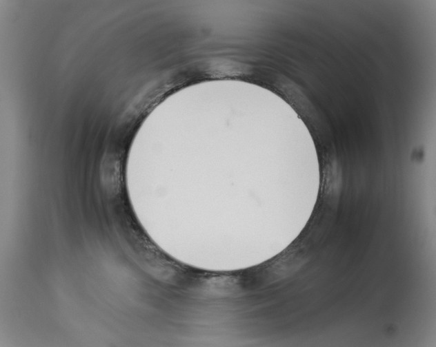 X0000113950426200911061308