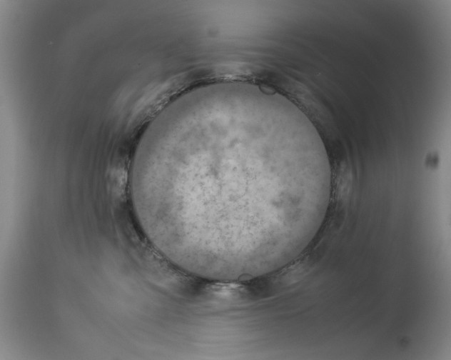 X0000113950427200911061308