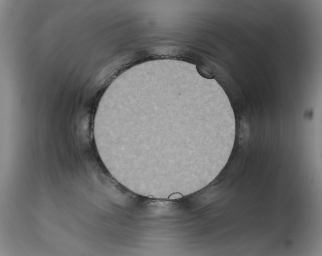 X0000113950428200911061308