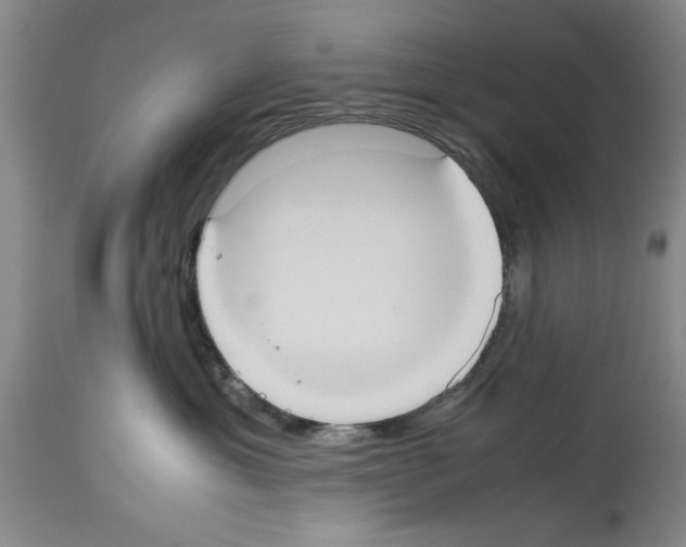 X0000113950429200911061308