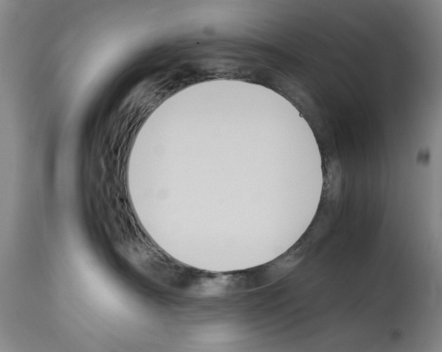 X0000113950430200911061308