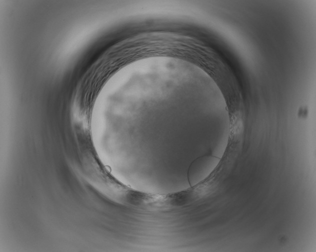 X0000113950431200911061308