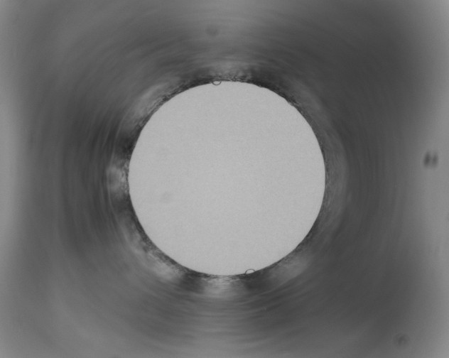 X0000113950432200911061308