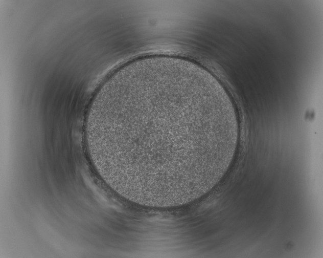 X0000113950434200911061307