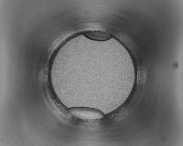 X0000113950436200911061307