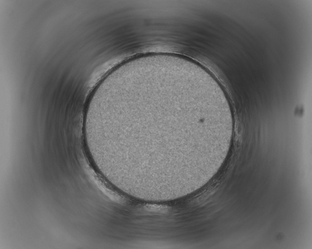 X0000113950437200911061307