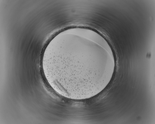 X0000113950438200911061307