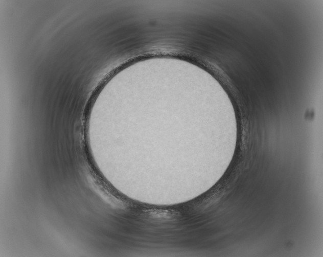 X0000113950439200911061307