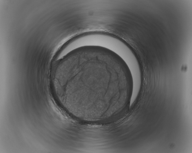 X0000113950440200911061307