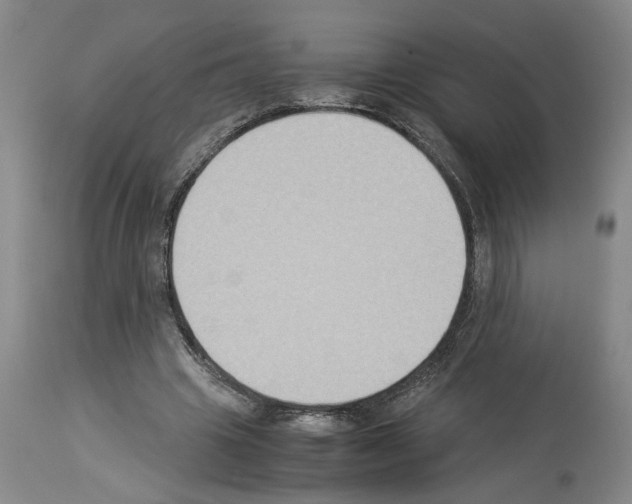 X0000113950441200911061307