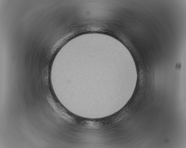 X0000113950442200911061307