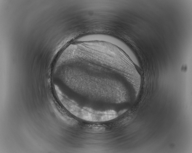 X0000113950443200911061307