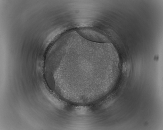 X0000113950444200911061307
