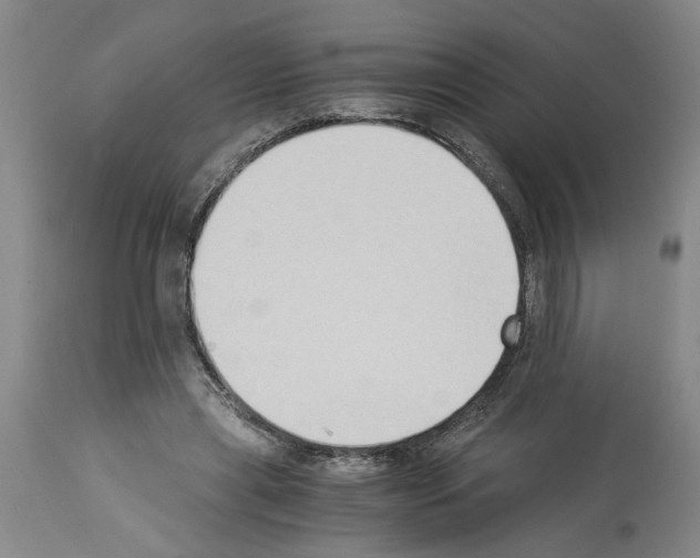 X0000113950445200911061307