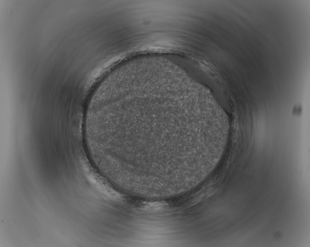 X0000113950446200911061307