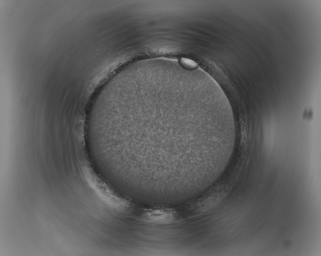 X0000113950447200911061307
