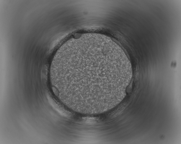 X0000113950448200911061307