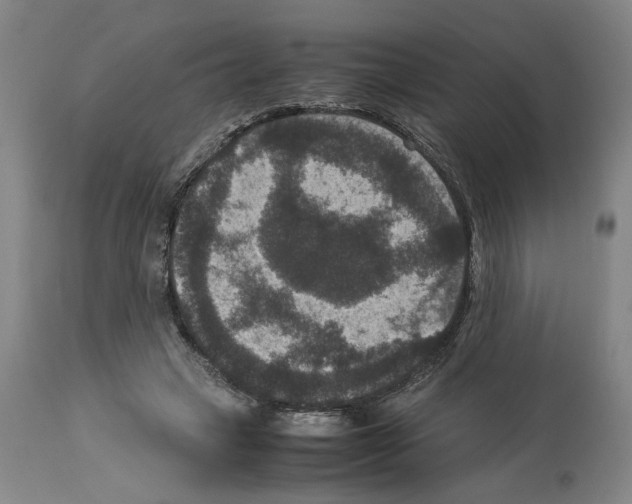 X0000113950449200911061307