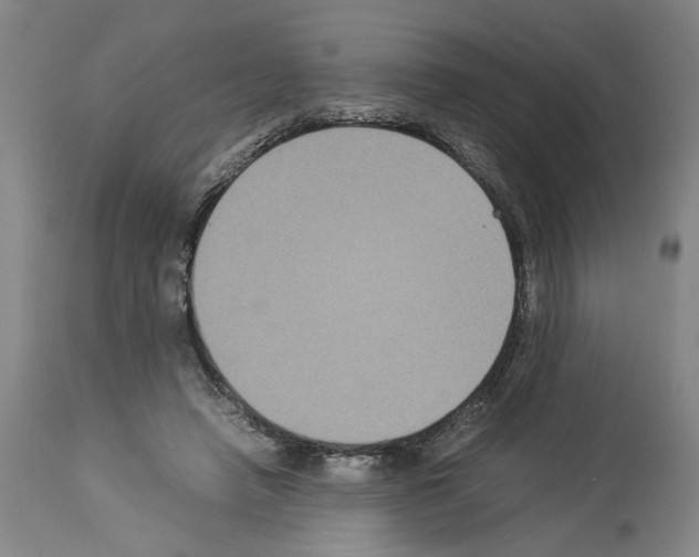 X0000113950450200911061307
