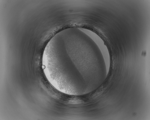 X0000113950451200911061307