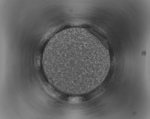 X0000113950452200911061307