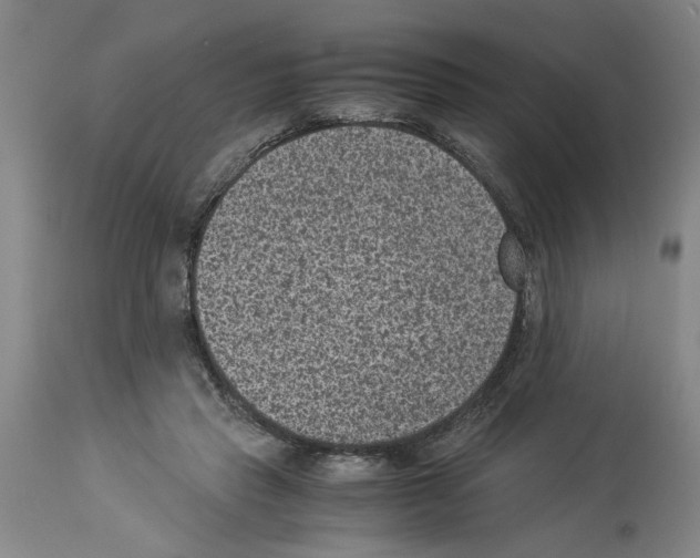 X0000113950453200911061307