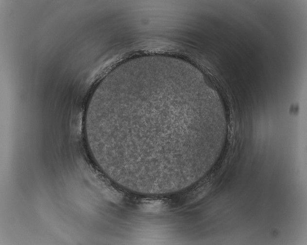 X0000113950454200911061307