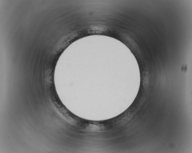 X0000113950455200911061307