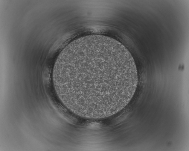 X0000113950456200911061307