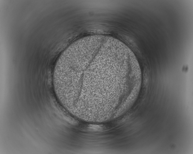 X0000113950457200911061307