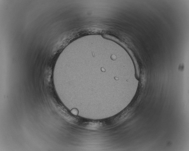 X0000113950458200911061307
