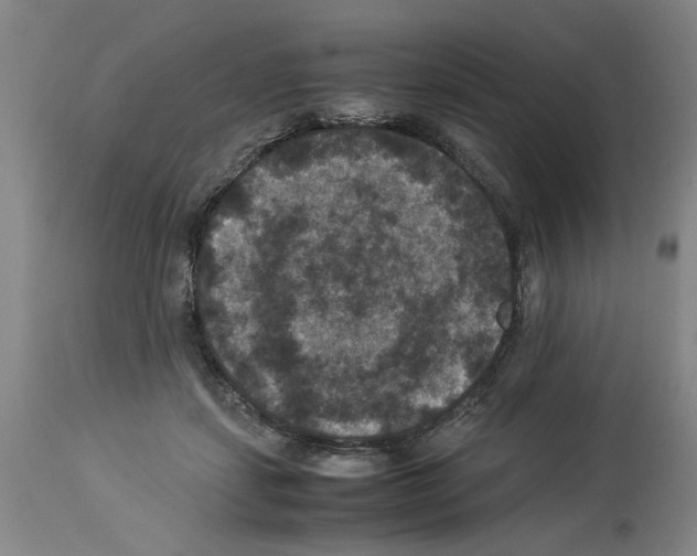 X0000113950459200911061307