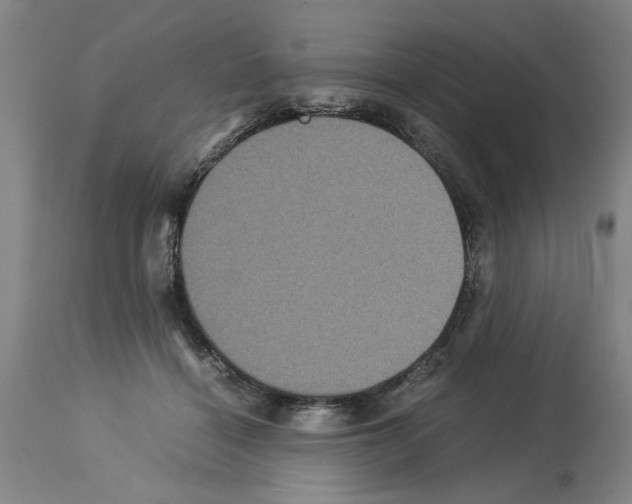 X0000113950460200911061307