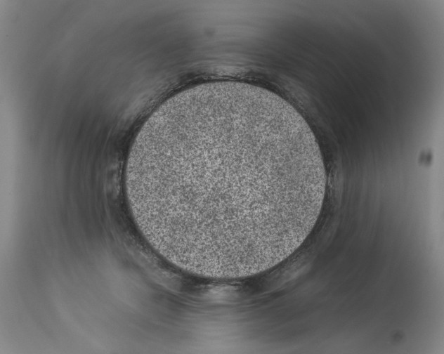 X0000113950462200911061307